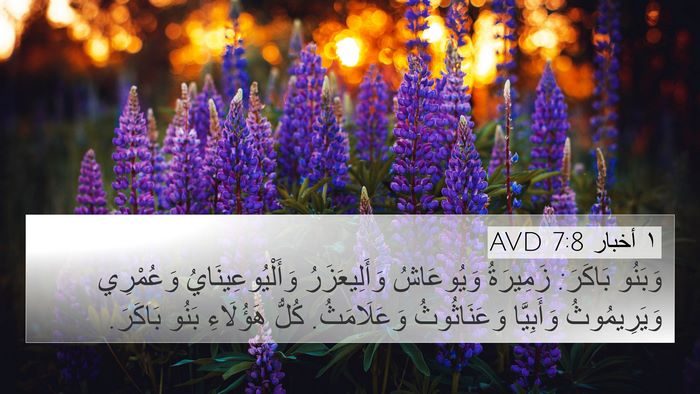 ١ أخبار 7:8 AVD 4K Wallpaper - وَبَنُو بَاكَرَ: زَمِيرَةُ - 4K Wallpaper Bible Verse