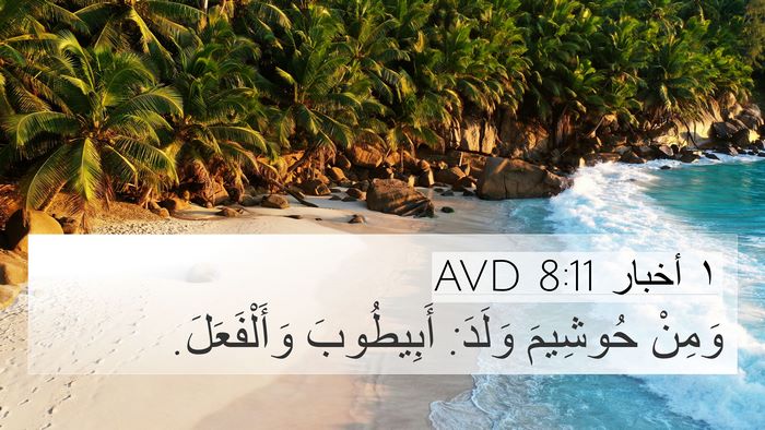 ١ أخبار 8:11 AVD 4K Wallpaper - وَمِنْ حُوشِيمَ وَلَدَ: - 4K Wallpaper Bible Verse