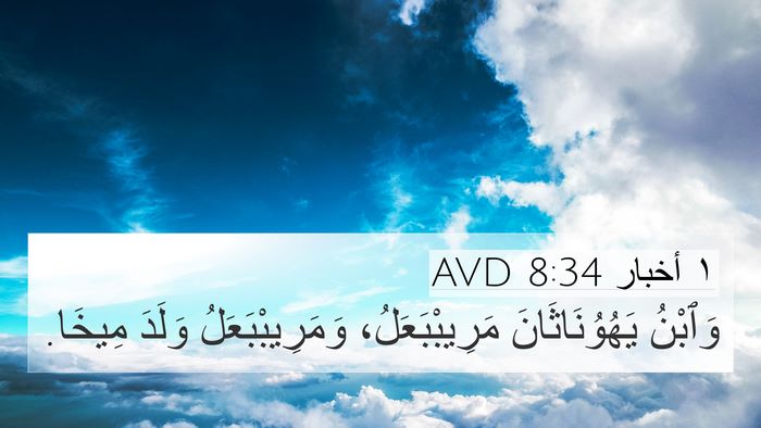 ١ أخبار 8:34 AVD Bible Verse Image
