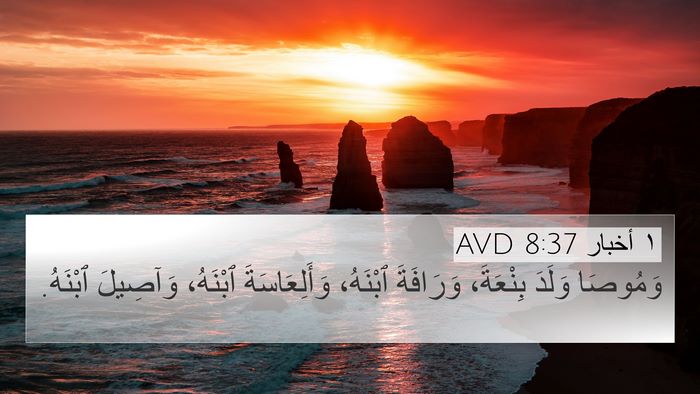 ١ أخبار 8:37 AVD Bible Verse Image