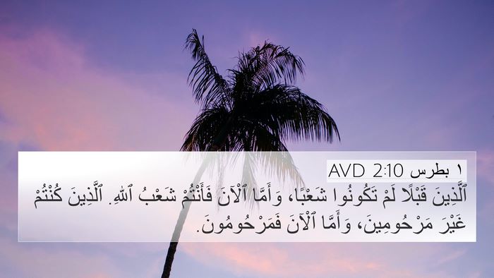 ١ بطرس 2:10 AVD Bible Verse Image