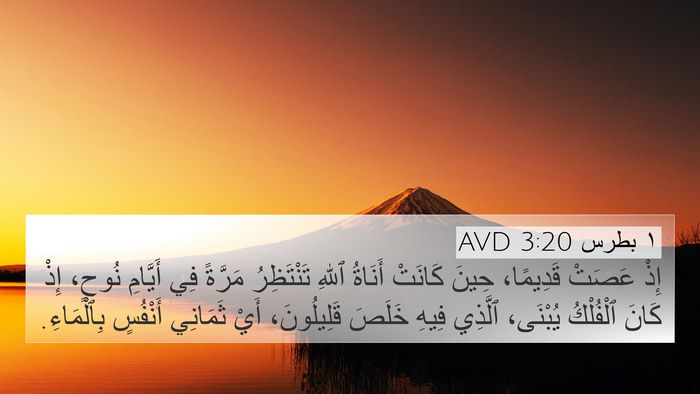 ١ بطرس 3:20 AVD Bible Verse Image