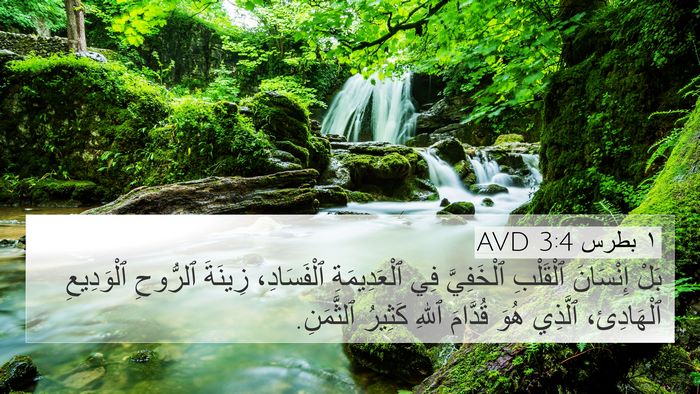 ١ بطرس 3:4 AVD Bible Verse Image
