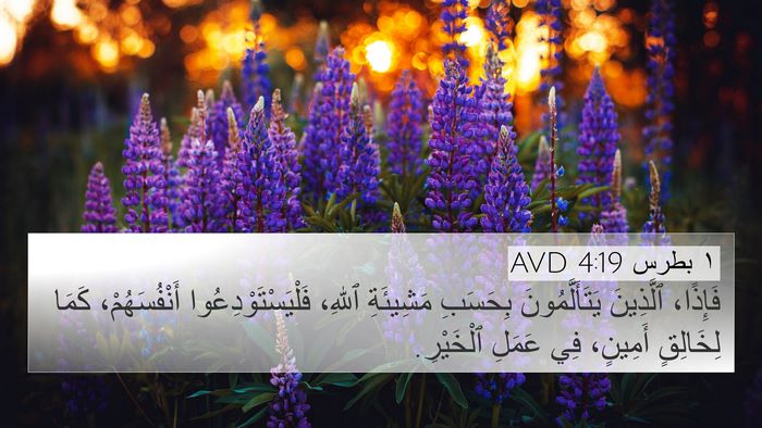 ١ بطرس 4:19 AVD Bible Verse Image