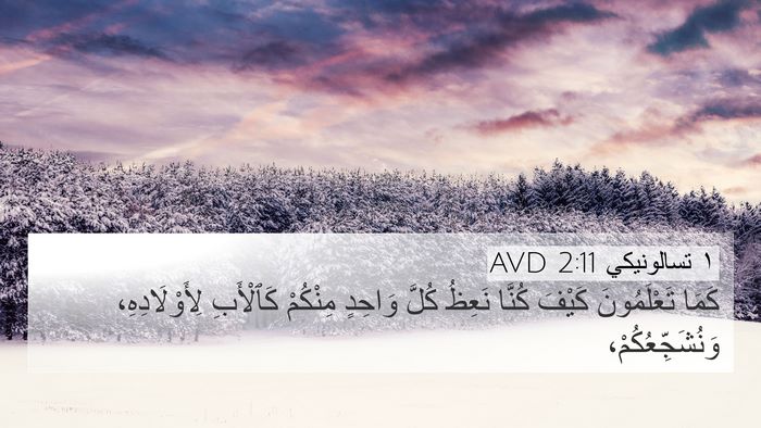 ١ تسالونيكي 2:11 AVD Bible Verse Image