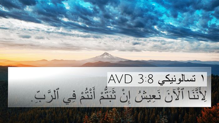 ١ تسالونيكي 3:8 AVD Bible Verse Image