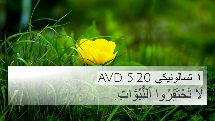 ١ تسالونيكي 5:20 AVD Bible Verse Image
