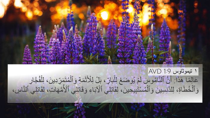 ١ تيموثاوس 1:9 AVD Bible Verse Image
