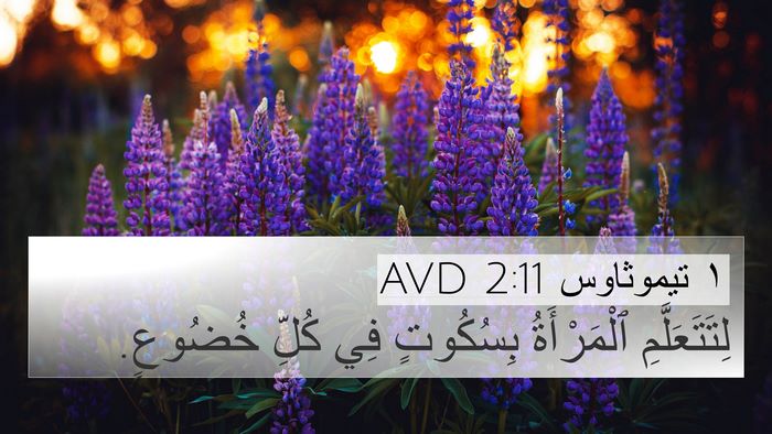 ١ تيموثاوس 2:11 AVD Bible Verse Image