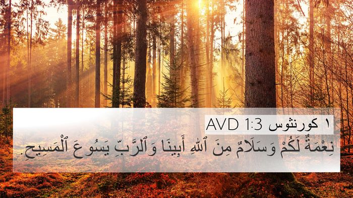 ١ كورنثوس 1:3 AVD Bible Verse Image