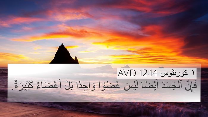 ١ كورنثوس 12:14 AVD Bible Verse Image