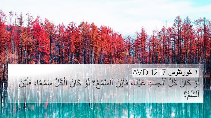 ١ كورنثوس 12:17 AVD 4K Wallpaper - لَوْ كَانَ كُلُّ ٱلْجَسَدِ - 4K Wallpaper Bible Verse