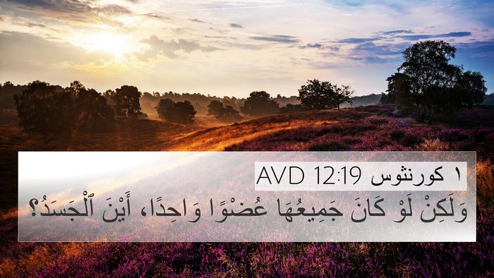 ١ كورنثوس 12:19 AVD 4K Wallpaper - وَلَكِنْ لَوْ كَانَ - 4K Wallpaper Bible Verse