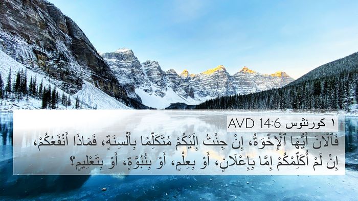 ١ كورنثوس 14:6 AVD Bible Verse Image