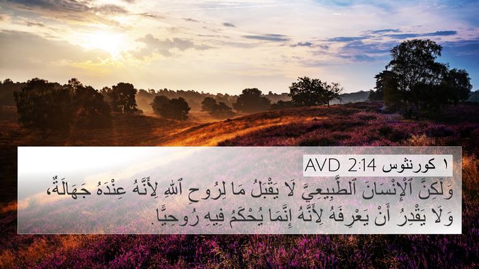 ١ كورنثوس 2:14 AVD Bible Verse Image