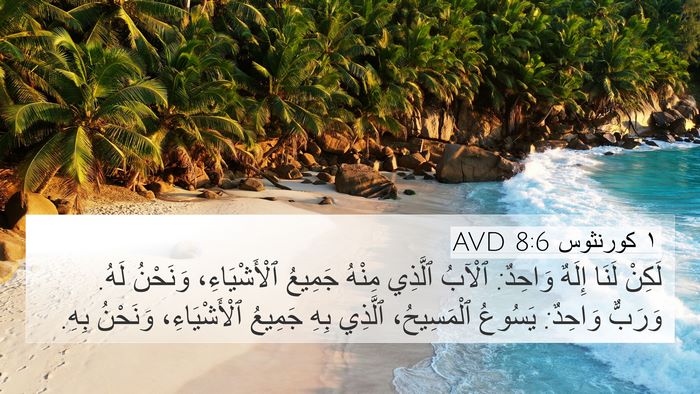 ١ كورنثوس 8:6 AVD Bible Verse Image