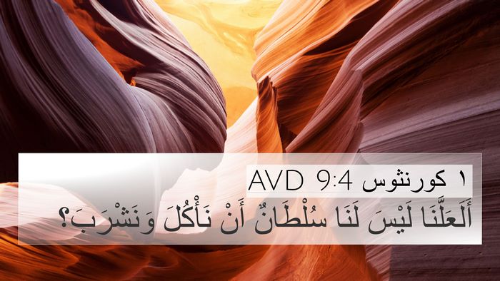 ١ كورنثوس 9:4 AVD Bible Verse Image