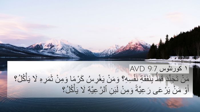 ١ كورنثوس 9:7 AVD Bible Verse Image
