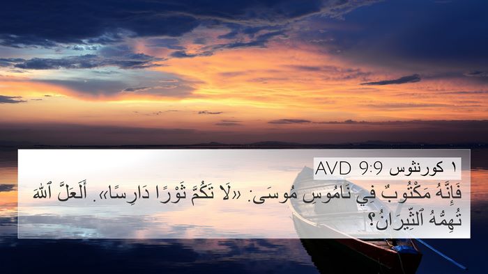 ١ كورنثوس 9:9 AVD Bible Verse Image