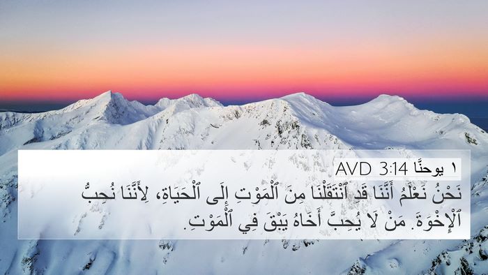 ١ يوحنَّا 3:14 AVD Bible Verse Image