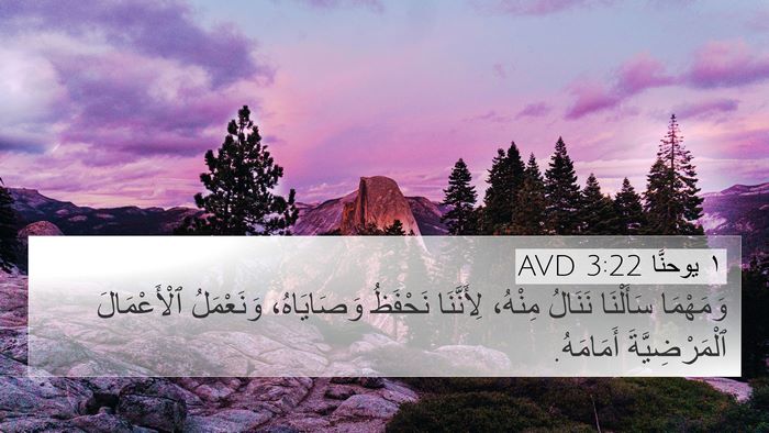 ١ يوحنَّا 3:22 AVD Bible Verse Image