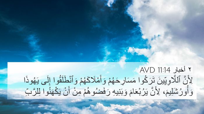٢ أخبار 11:14 AVD Bible Verse Image