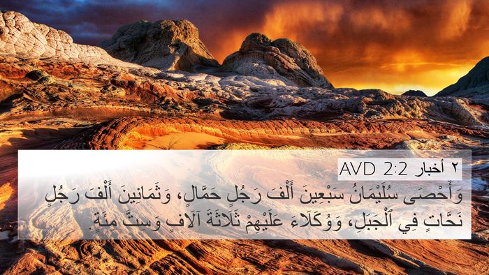 ٢ أخبار 2:2 AVD Bible Verse Image