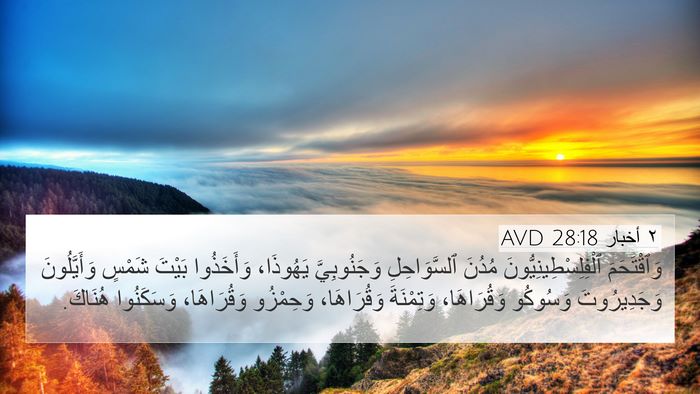 ٢ أخبار 28:18 AVD Bible Verse Image
