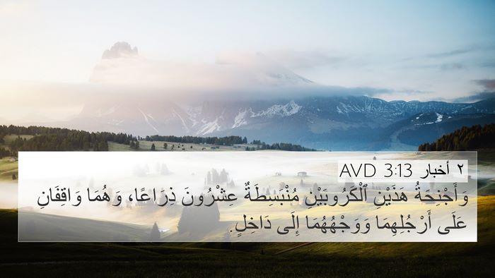 ٢ أخبار 3:13 AVD 4K Wallpaper - وَأَجْنِحَةُ هَذَيْنِ - 4K Wallpaper Bible Verse