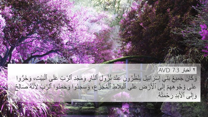 ٢ أخبار 7:3 AVD Bible Verse Image