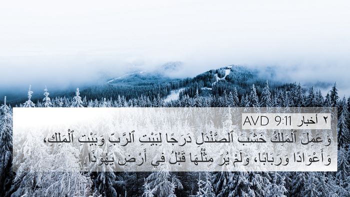 ٢ أخبار 9:11 AVD Bible Verse Image