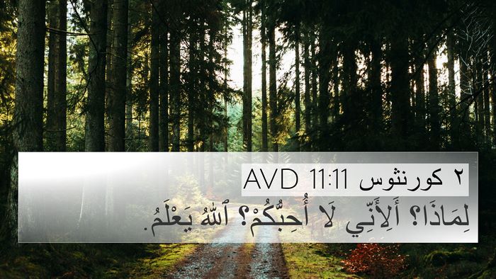 ٢ كورنثوس 11:11 AVD Bible Verse Image