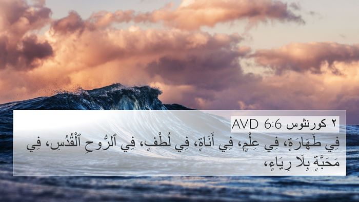 ٢ كورنثوس 6:6 AVD Bible Verse Image