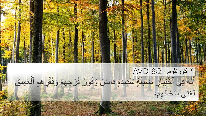٢ كورنثوس 8:2 AVD Bible Verse Image