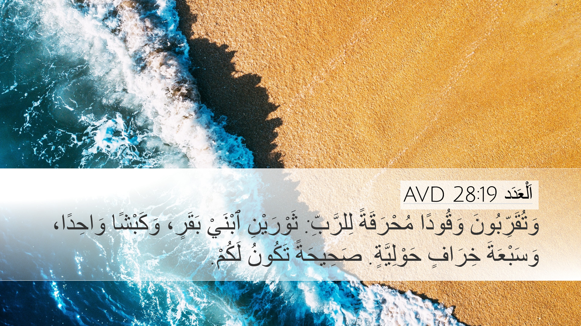 اَلْعَدَد 28:19 AVD Desktop Wallpaper - وَتُقَرِّبُونَ وَقُودًا