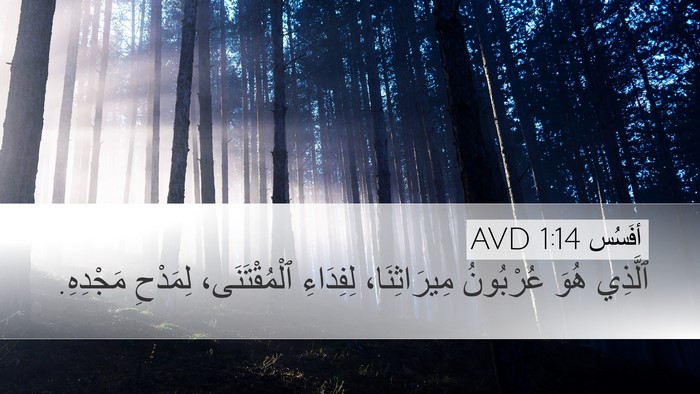أفَسُس 1:14 AVD Bible Verse Image
