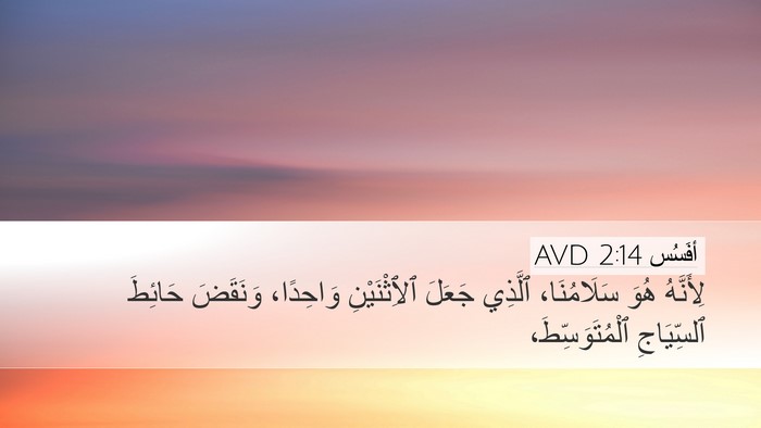 أفَسُس 2:14 AVD Bible Verse Image