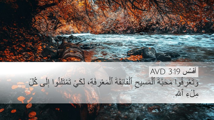 أفَسُس 3:19 AVD Bible Verse Image