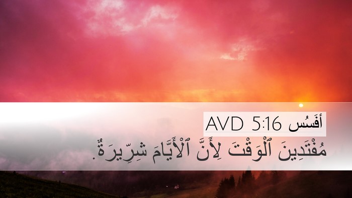 أفَسُس 5:16 AVD Desktop Wallpaper - مُفْتَدِينَ ٱلْوَقْتَ - Desktop Bible Verse Wallpaper
