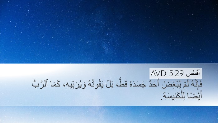 أفَسُس 5:29 AVD Bible Verse Image
