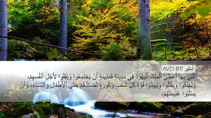 أَسْتِير 8:11 AVD Bible Verse Image