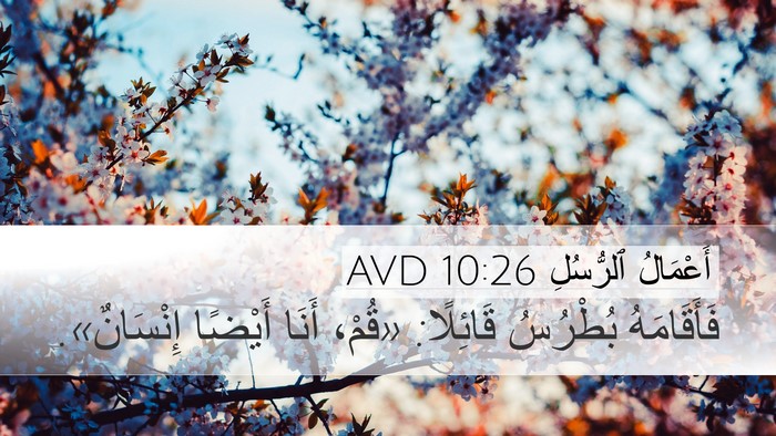 أَعْمَالُ ٱلرُّسُلِ 10:26 AVD Bible Verse Image