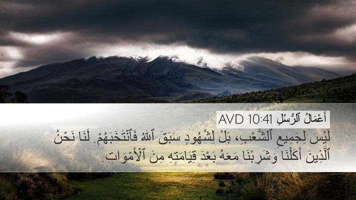 أَعْمَالُ ٱلرُّسُلِ 10:41 AVD Bible Verse Image