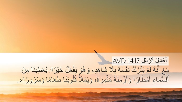 أَعْمَالُ ٱلرُّسُلِ 14:17 AVD Bible Verse Image