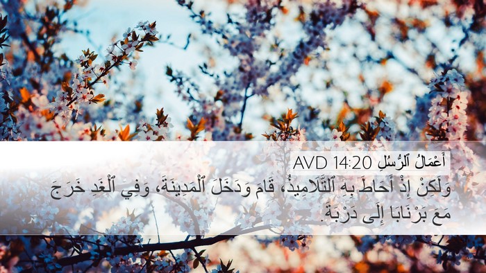 أَعْمَالُ ٱلرُّسُلِ 14:20 AVD Bible Verse Image