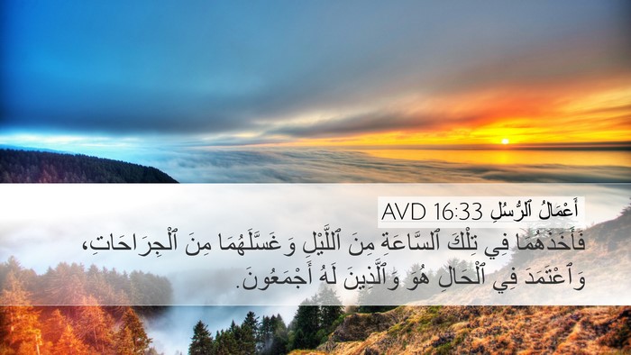 أَعْمَالُ ٱلرُّسُلِ 16:33 AVD Bible Verse Image