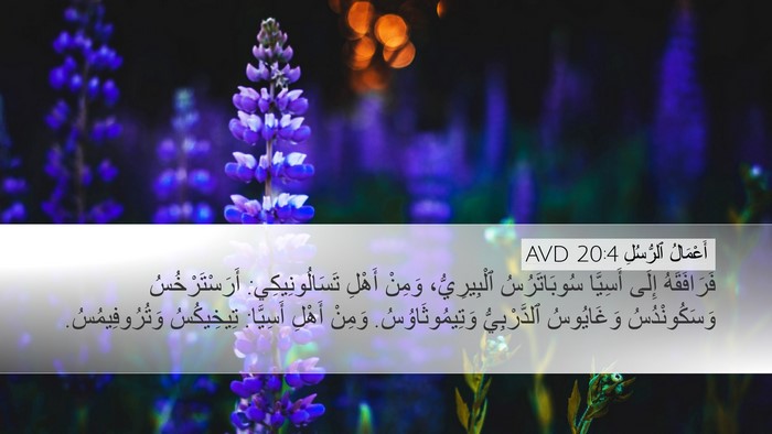 أَعْمَالُ ٱلرُّسُلِ 20:4 AVD Bible Verse Image