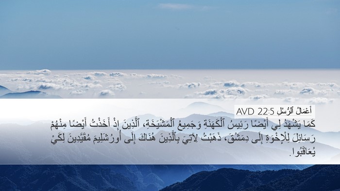أَعْمَالُ ٱلرُّسُلِ 22:5 AVD Bible Verse Image