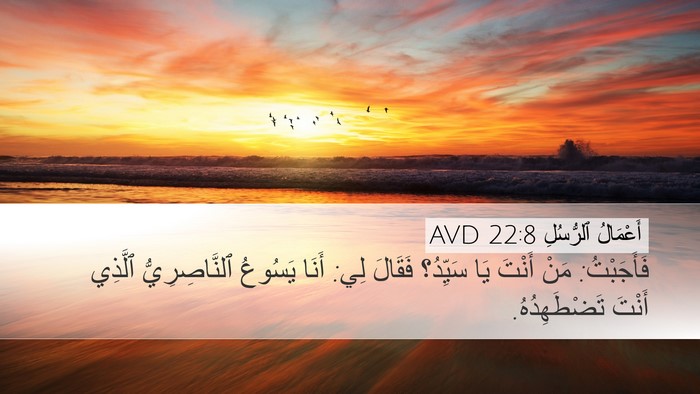 أَعْمَالُ ٱلرُّسُلِ 22:8 AVD Bible Verse Image
