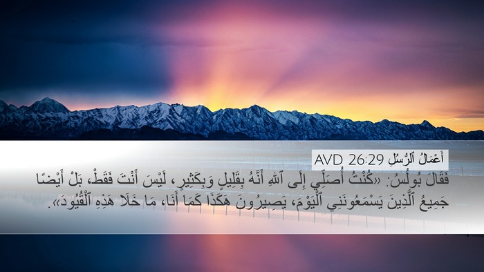 أَعْمَالُ ٱلرُّسُلِ 26:29 AVD Bible Verse Image